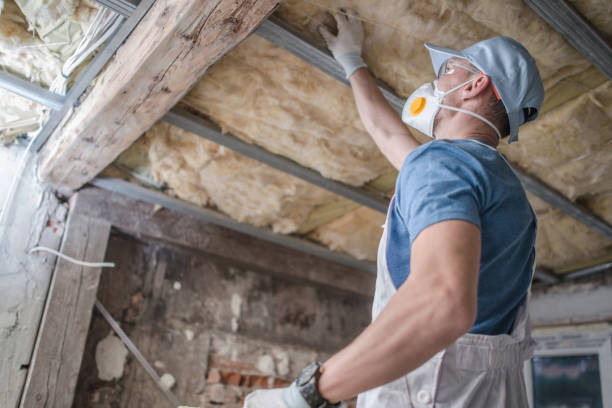 Best Spray Foam Insulation  in Nettleton, MS